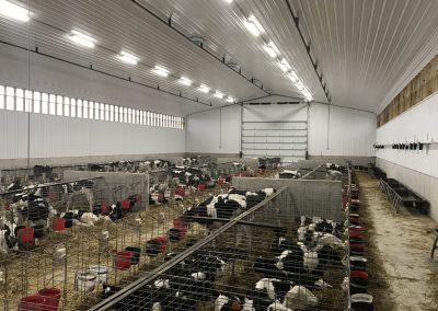 Calf Barn for 250 Calves